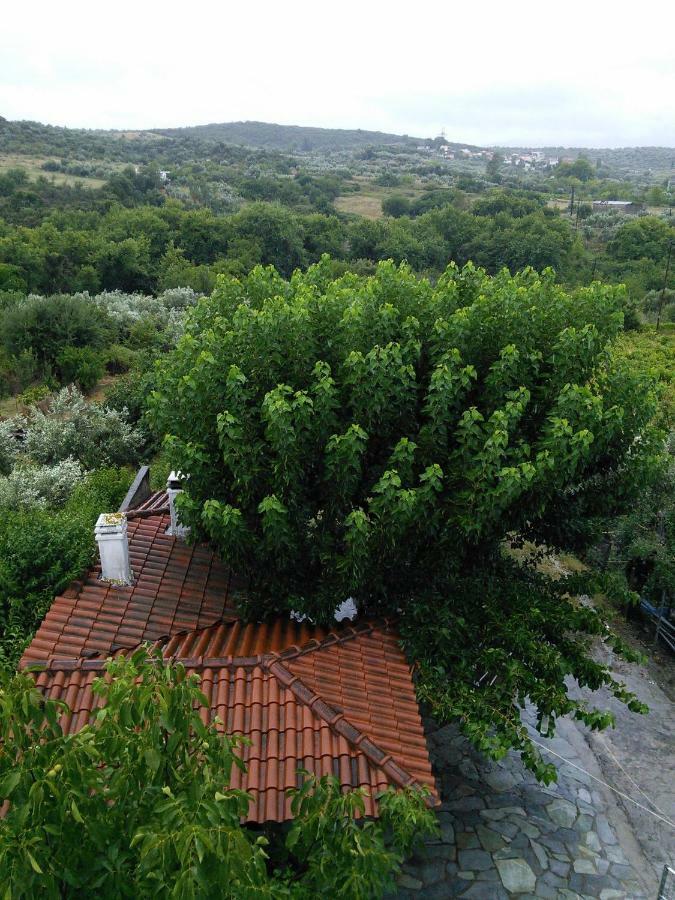 Eleni'S Village Relaxation Home Edipsos Luaran gambar