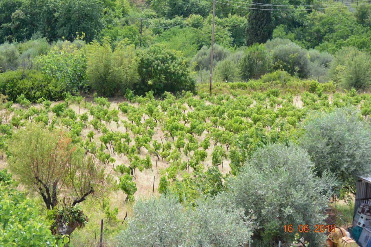 Eleni'S Village Relaxation Home Edipsos Luaran gambar
