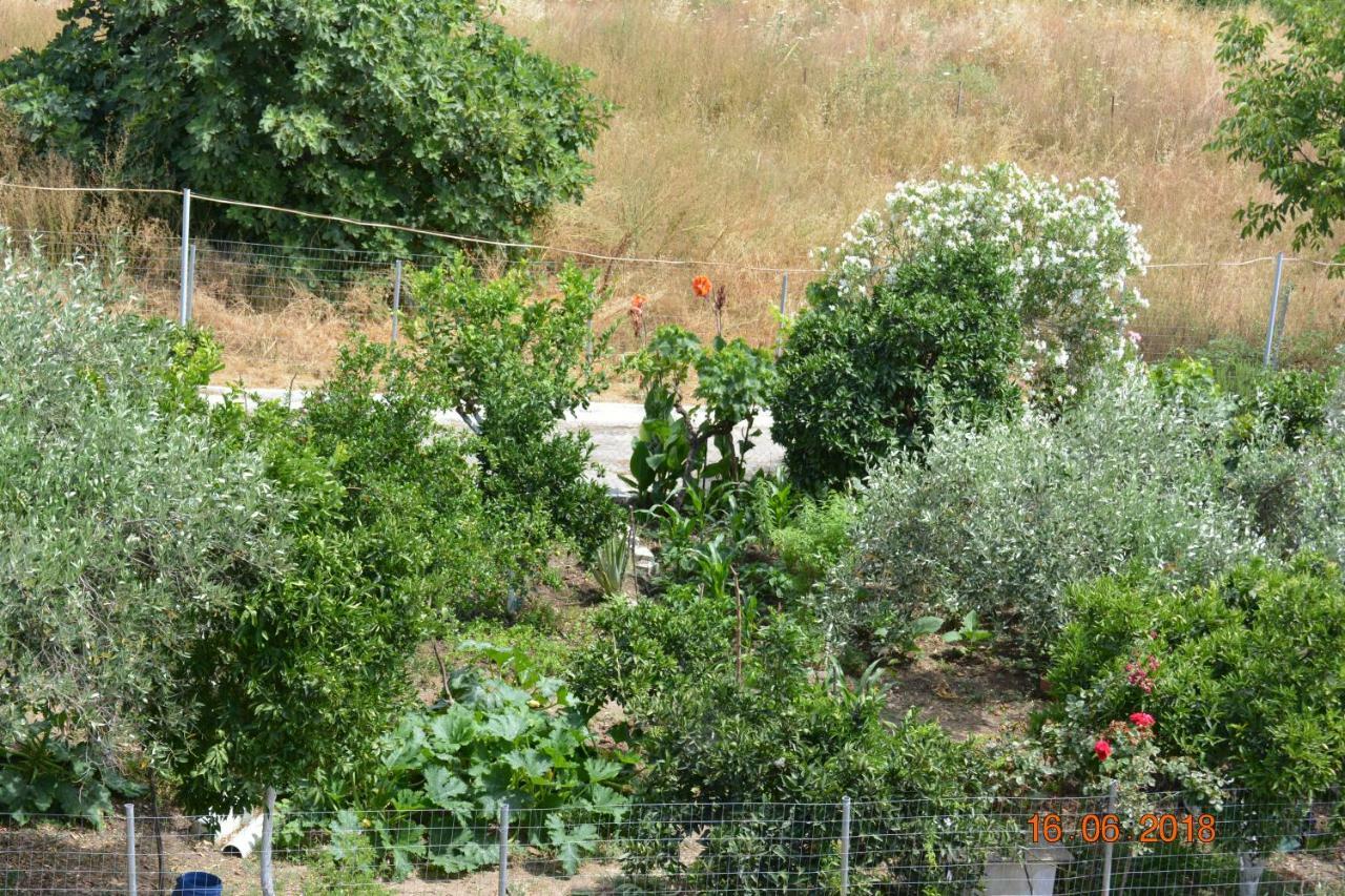 Eleni'S Village Relaxation Home Edipsos Luaran gambar